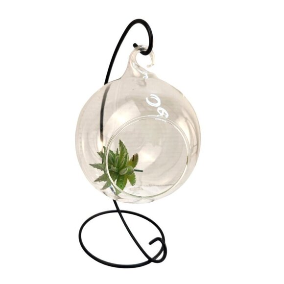 Hanging Glass Terrarium With Metal Stand Planter for Air Plants Succulents Candl - Picture 1 of 5